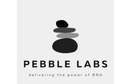 pebble