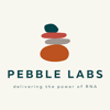 pebblelabs-logo